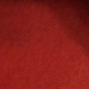 Meet your Posher, Wendy